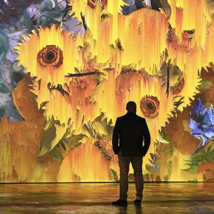 beyond van gogh.jpg